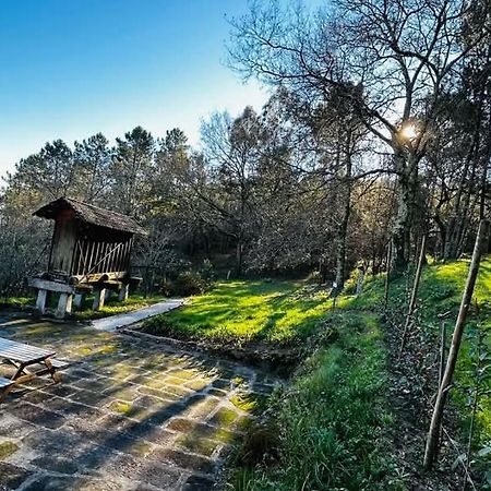 Eira Das Carvalhas Penafiel Extérieur photo