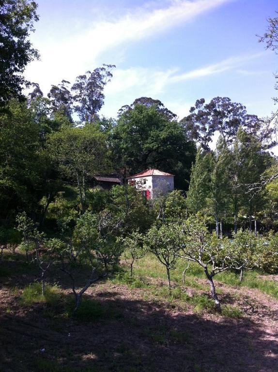 Eira Das Carvalhas Penafiel Chambre photo